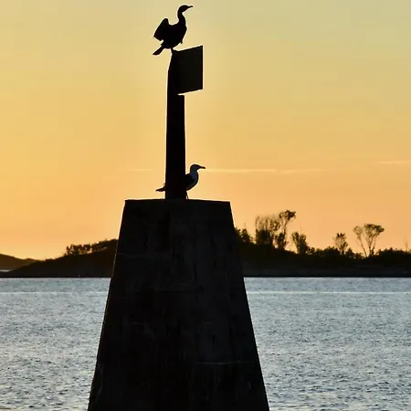 酒店 塞尼亚岛港口酒店