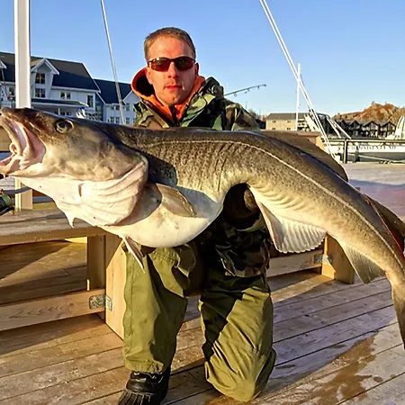 酒店 塞尼亚岛港口酒店