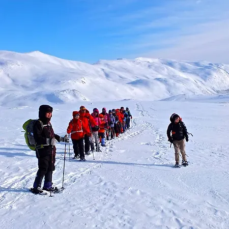 塞尼亚岛港口酒店 酒店 Hamn